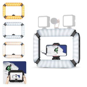 Ulanzi U200 Ringlamp Video Rig met ingebouwde 8000mAh Powerbank