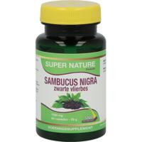 Sambucus Nigra