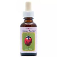 Animal Essences Ladybug (lieveheersbeestje) 30 Milliliter