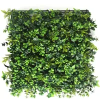 EasyLawn wandplant Hydranchea mix 1x1 meter