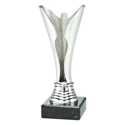 Sportprijzen Leiden Trofee Serie 79, 80, 81