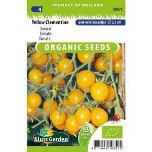 Tomaat Yellow Clementine BIO