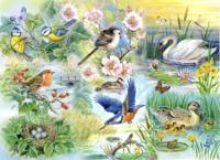 Feathered Friends Puzzel 250 Stukjes XL Feathered Friends Puzzel 250 Stukjes XL