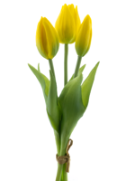 PSO Holland Tulip bundle Sally x3 yellow 25 cm kunstbloem - Nova nature