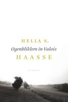 Ogenblikken in Valois - Hella S. Haasse - ebook