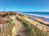 Zeegras 70x50cm Tuinschilderij Customize-it - Customize it