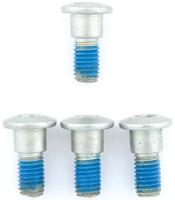 TRW Screw set 4pcs. m8x1,25