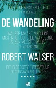 De wandeling - Robert Walser - ebook