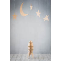 StudioKing achtergronddoek rsg1 2x3m met print