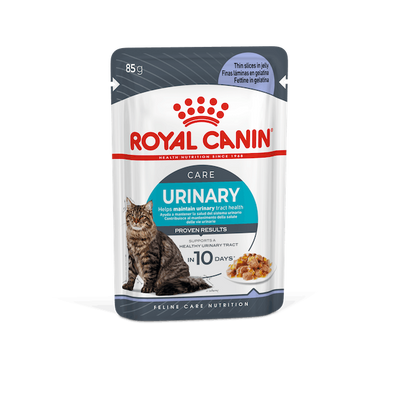 Royal Canin Urinary Care in Jelly (gelei) natvoer kattenvoer 12 x 85 gram