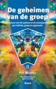 De geheimen van de groep (Paperback)