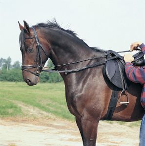 Pagony Halsverlenger zwart