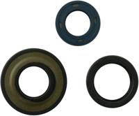 ATHENA Simmerring set vespa