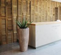 Aloë deluxe kunstplant 70cm