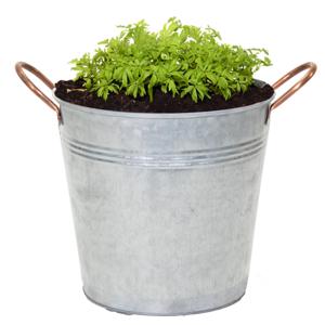 Plantenpot/bloempot emmer Jean - zink - zilver - D27 X H25 cm