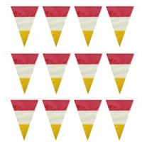 5x stuks den bosch kleuren carnaval vlaggetjes - 10 meter - plastic - rood-wit-geel - versieringen