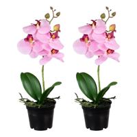 Orchidee bloemen kunstplant op plug - 2x - bloemen/bloemetjes - roze/groen - H33 cm