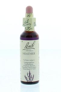 Bach Heather/struikhei
