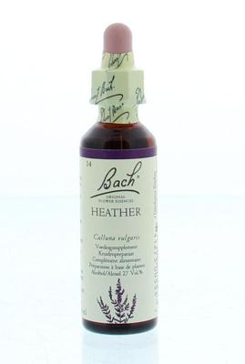 Bach Heather/struikhei
