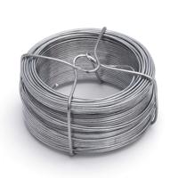 Binddraad - 2x - zilver - verzinkt staal - 50 meter - hobbydraad - 0,7 mm