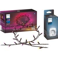 Philips Hue Lichtketting, Tussenstekker 8720169246621+871951434230900 Hue Festavia+Hue Smart Plug Type F