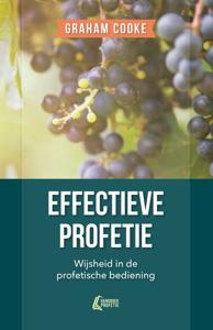 Effectieve profetie (Paperback)