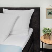 2-PACK: Molton Kussenslopen - Katoen - Dekbed-Discounter.nl