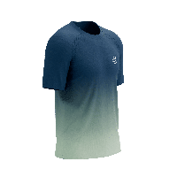 Compressport Performance ss t-shirt heren - BLAUW - Heren