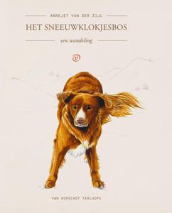 Het sneeuwklokjesbos - Annejet van der Zijl - ebook