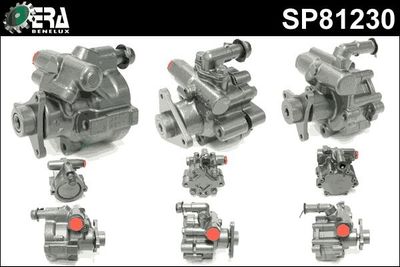 Stuurpomp SP81230
