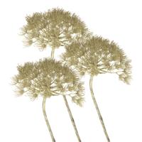 Kunstbloem Berenklauw/Heracleum - 3x stuks - 80 cm - Kunstbloemen boeketten - kunsttak