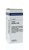 VSM Ledum palustre C200 (4 gr)