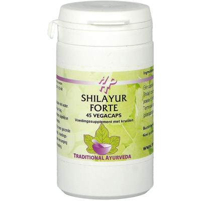 Shilayur Forte