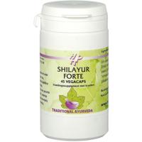 Shilayur Forte