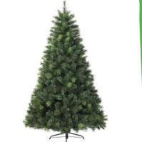Vancouver Pine 210 cm - Everlands Vancouver Pine 210 cm - Everlands
