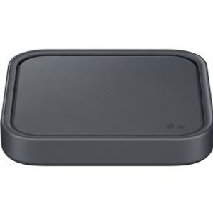Samsung EP-P2400 Grijs Binnen