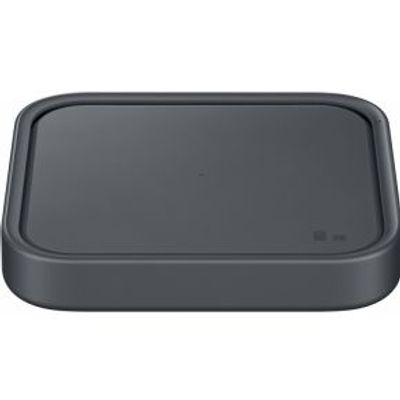 Samsung EP-P2400 Grijs Binnen
