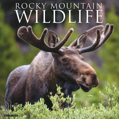 Rocky Mountain Wildlife Kalender 2026
