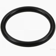Oase Living Water Oase o ring 42 x 5 SH50 greased