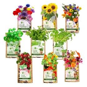 Hangtuintje Kruiden en Bloemen