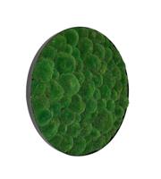 Mosschilderij Jade Metal 100cm.