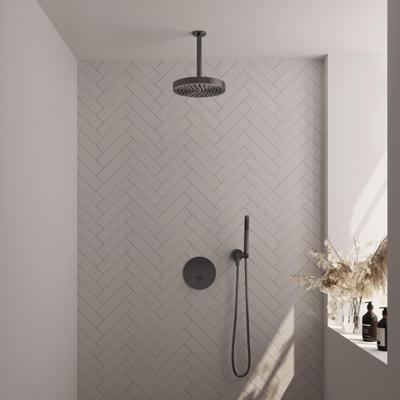 BRAUER Stripe Thermostatische Inbouw Regendouche - 3-weg - rond - SET 39 - 25cm douchekop - plafondarm - staaf handdouche - doucheslang - wandaansluitbocht - gunmetal geborsteld PVD 5-GM-441