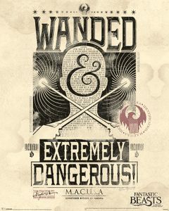 Fantastic Beasts Extremely Dangerous Poster 40x50cm