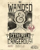 Fantastic Beasts Extremely Dangerous Poster 40x50cm - thumbnail