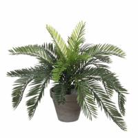 Mica Decorations Kunstplant Cycaspalm - groen - H37 cm - in pot - kamerplant