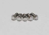 RC4WD Miniature Scale Hex Bolts (M3 x 6mm) (Silver) (Z-S0639)