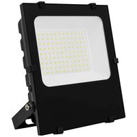 Schmelter LED Technology Diluvis 3.1 50 W 6000K S-FL3.1-50W6 LED-schijnwerper Energielabel: D (A - G) 50 W Koudwit