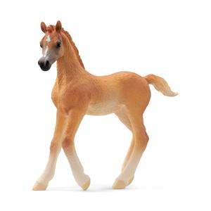 schleich HORSE CLUB Arabisch veulen - 13984