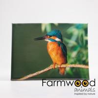 Farmwood Animals Buitenschilderij ijsvogel 30x40cm