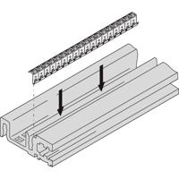 Schroff 24576084 19 inch Rails voor patchkast